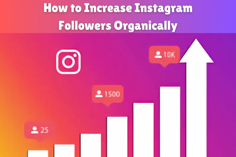 How to Increase Instagram Followers Organically