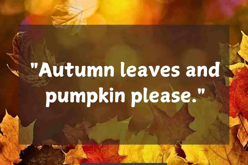 autumn leaves and pumpkin please.