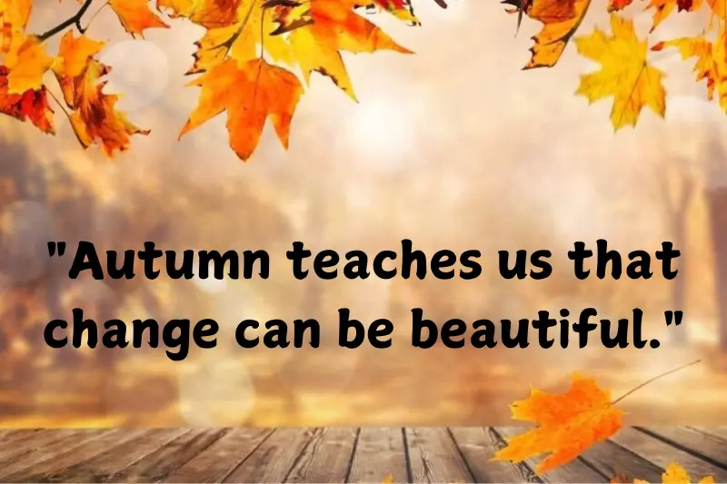 autumn teaches us that change can be beautiful.