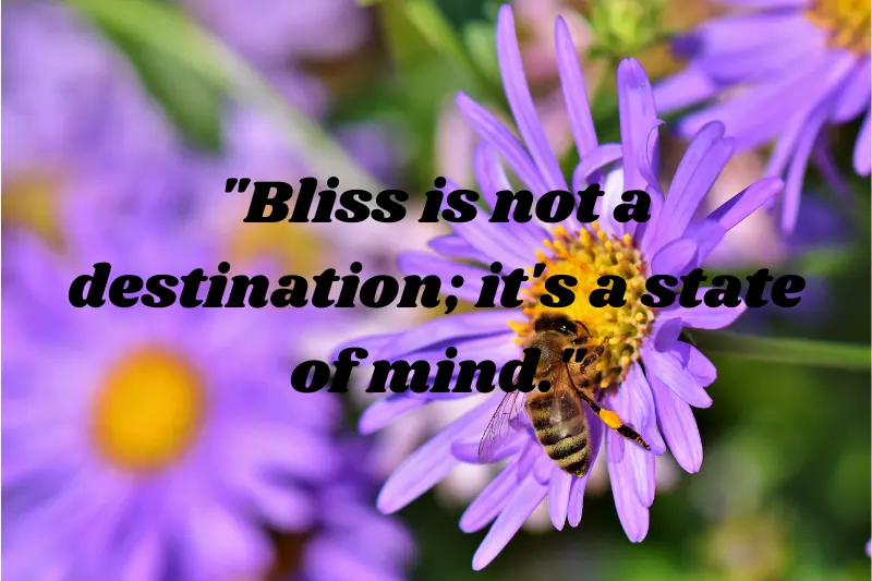 bliss is not a destination; it's a state of mind