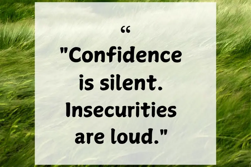 confidence is silent. insecurities are loud. 