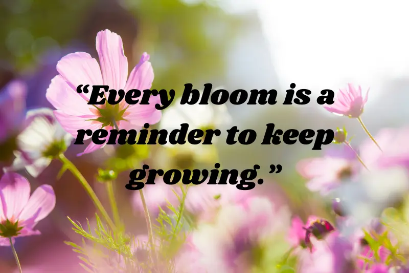 every bloom is a reminder to keep growing