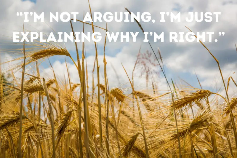 “i’m not arguing, i’m just explaining why i’m right.”