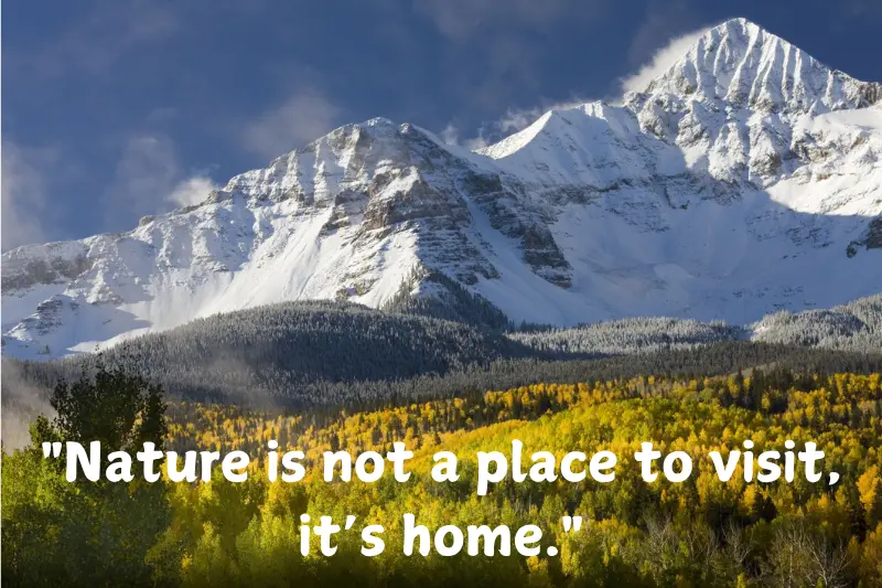 nature is not a place to visit, it’s home.