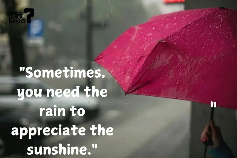 sometimes, you need the rain to appreciate the sunshine.