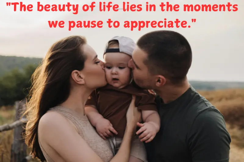 the beauty of life lies in the moments we pause to appreciate.