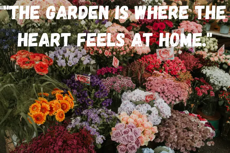 the garden is where the heart feels at home. (1)