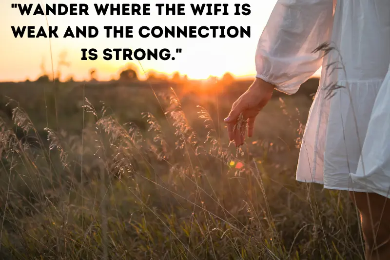 wander where the wifi is weak and the connection is strong.