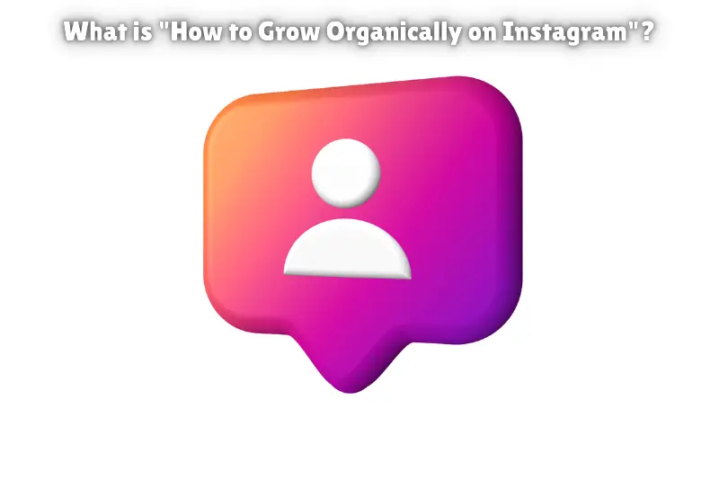 what is how to grow organically on instagram